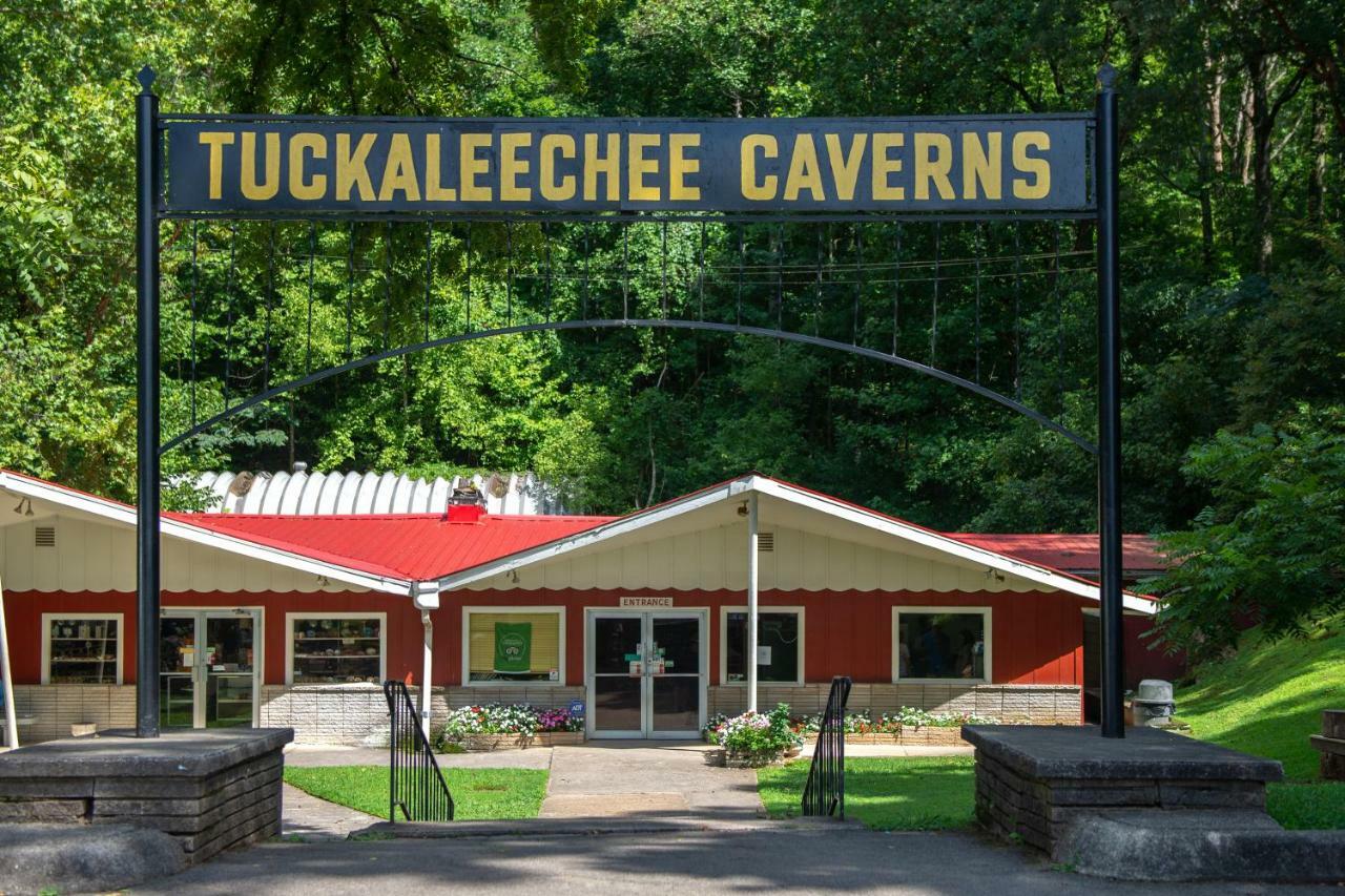 Twin Cub Lodge Tuckaleechee Exterior foto